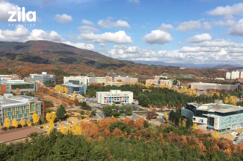 Trường Đại Học Daegu Catholic Hàn Quốc – 대구가톨릭대학교