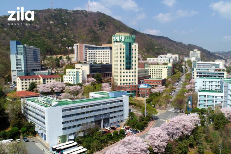 Trường Đại Học Inje Hàn Quốc – 인제대학교