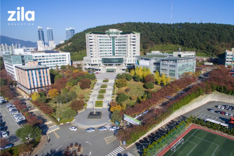 Trường Đại Học Tongmyong Hàn Quốc – 동명대학교