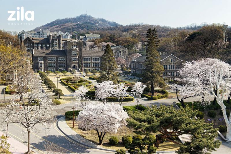 Trường Đại Học Yonsei Hàn Quốc – 연세대학교