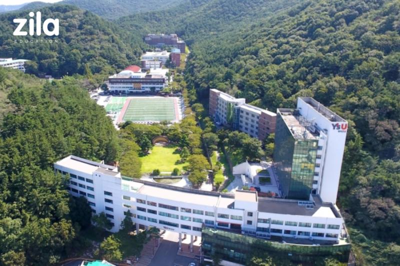 Trường Đại Học Youngsan Hàn Quốc – 영산대학교
