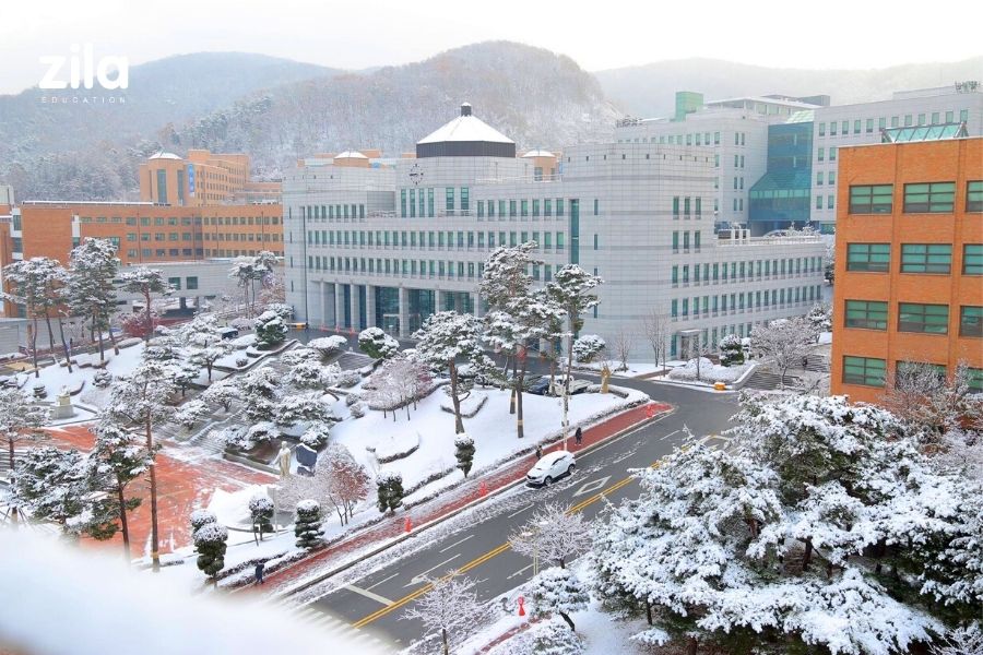 Đại Học Dankook Hàn Quốc – 단국대학교