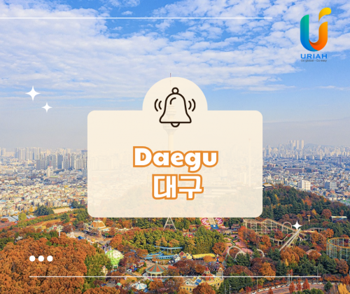 Daegu (대구) – Thành Phố Công Nghiệp Lâu Đời Của Hàn Quốc