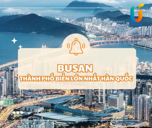 Busan (부산) – Thành Phố Biển Lớn Nhất Hàn Quốc