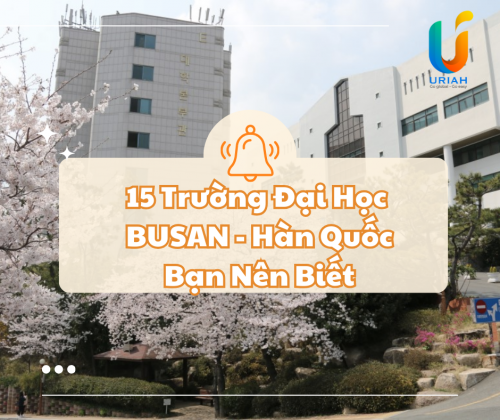 [Tổng Hợp] 15 Trường Đại Học Ở Busan Hàn Quốc Bạn Nên Biết