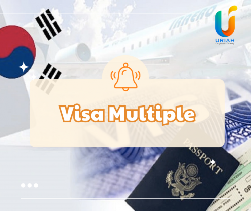 Cách Xin Visa 5 Năm Hàn Quốc Để Tỷ Lệ Đậu Cao