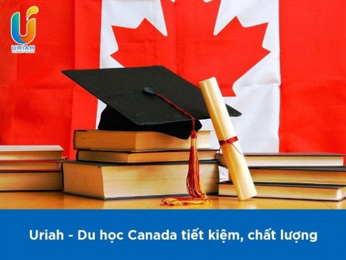 Chi Phí Du Học Canada Có Đắt Không? Bí Quyết Du Học Canada Tiết Kiệm Nhất
