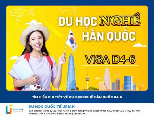 Tìm Hiểu Chi Tiết Về Du Học Nghề Hàn Quốc Visa D4-6