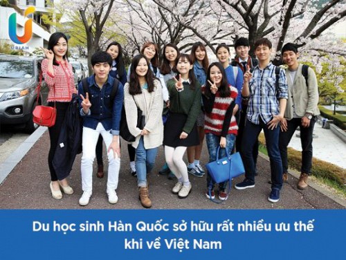 Làm Gì Sau Khi Đi Du Học Hàn Quốc Về? Cơ Hội Việc Làm Cho Du Học Sinh Hàn Quốc